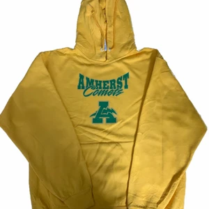 Vintage Amherst Hoodie - ✅ Vintage Amherst Hoodie                                                            ✅ Size: Medium                                                                                           ✅ Condition: (Preloved) 9/10
