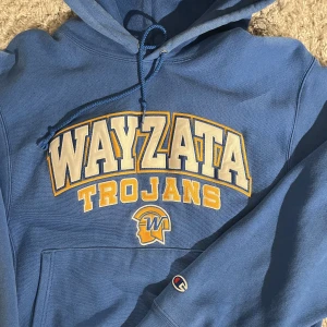 Vintage champion hoodie - Säljs då den inte används längre, men är fof i bra skick. Dock är det ett litet hål i mudden (se bild 3)