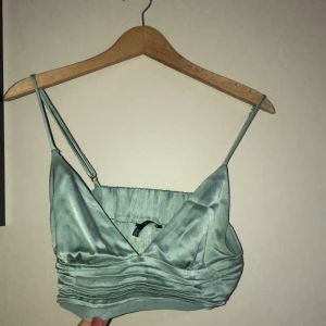 silkes topp - Silkes topp från Zara, aldrig använd. Passar nog en S oxå. Bud på 100