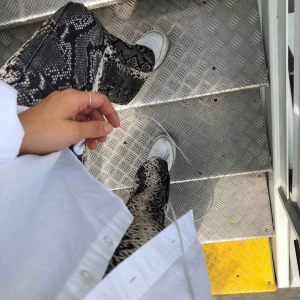  - Superballa snake byxor. Märkta XS men väldigt stretchiga så passar även S. I nyskick. 💚 frakt +44kr eller möts i centrala sthlm