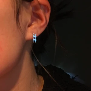 Örhängen - Ett par silvrigfärgade örhängen i rostfri material. Frakt 11