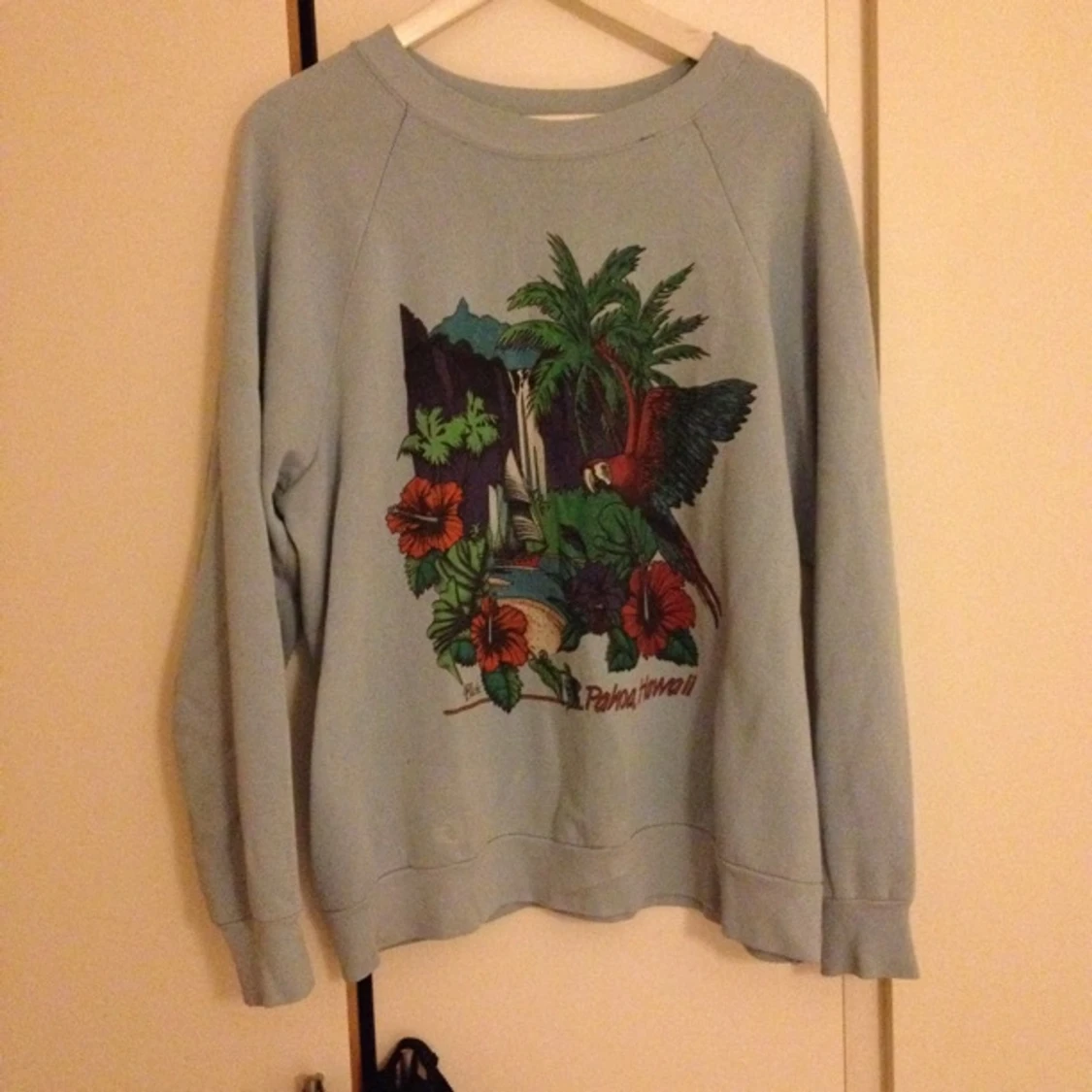 Collegetröja - trotjänare. Storlek ca L (herr). Hämtas i Malmö eller fraktas mot betalning - 1381861687