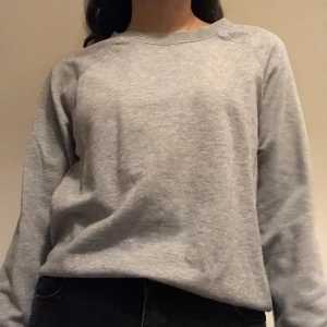 Basic tröja - Grå basic tröja. Har bara använt en gång. Passar med allt. Om du beställer fler kläder från mig behöver du inte betala frakt separat för alla produkter❗️❗️