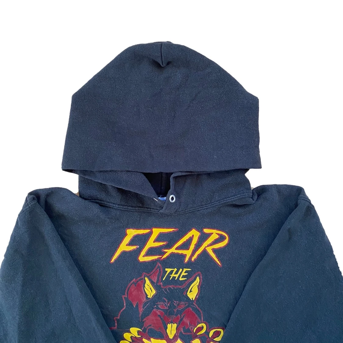 Fear The Fox College Hoodie - 90