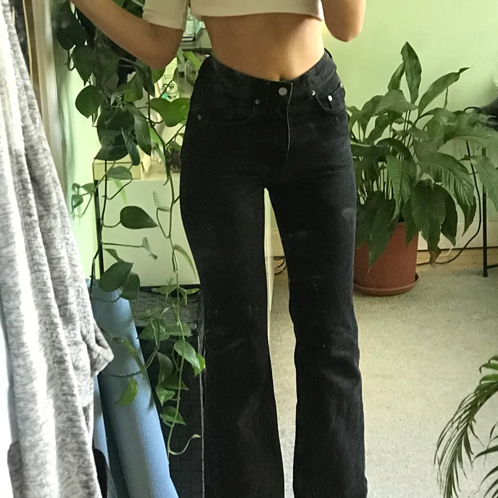 Dessa snygga svarta jeans passar dessvärre inte mig, vill därför sälja dem vidare! Köpta på weekday för 500kr, de är i jätte bra skick. Byxorna är raka och har lite bootcut/wideleg❤️ frakt ingår inte💕✨ jag är 170cm och de passar i längden.. Jeans & Byxor.
