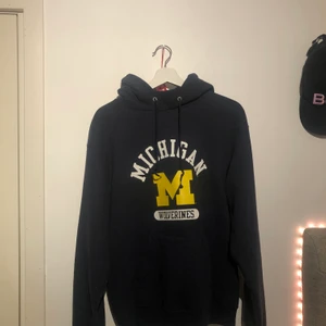 Hoodie  - Super skön och fin Hoodie från Champion som jag köpte den secondhand men den är i bra skick! Den har en liten rosa fläck på höger armen