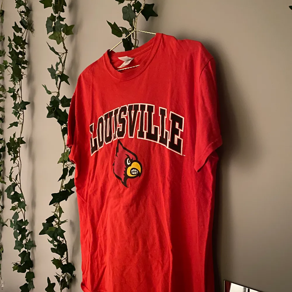 En röd T-Shirt med tryck ifrån beyond retro💫  den är i storlek M o sitter lätt oversize🥰 150kr inkl frakt 🥰. Hoodies.
