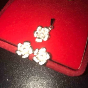  - Silver örhängen och häng 