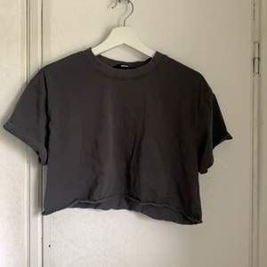En croppad T-shirt från Bikbok, i en jättefin grå färg. Storlek L, passar S. 