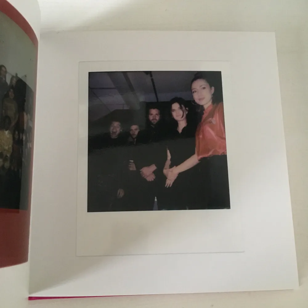 Bok fylld med polaroid foton köpt på Harry Styles Live On Tour 2018. Mest tour relaterade bilder i boken. Fint skick, möter upp i Sthlm.. Övrigt.