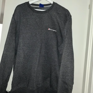 Mörkgrå oversized Champion tröja - Mörkgrå oversized Champion tröja. Osäker på storlek då lappen är urtvättad men skulle säga att den är så pass stor i storlek att den funkar för de flesta kroppstyper. Frakt får betalas själv. 