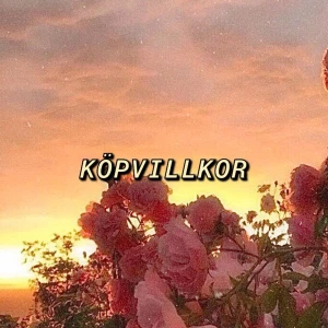 KÖPVILLKOR  - Säljer plagg från 50 till uppåt! 