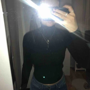  - Polotröja från Gina, sitter tight och brösten får fin form. Långärmad. Tillräckligt lång för att stoppa in innanför byxor. Om du vill att jag fraktar +55kr