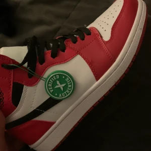 Jorden 1 Chicago  - Säljer nu för priset har höjts!!