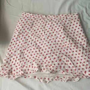  - Jättefin kjol från Zara! Den är i jättefint skick, inga flaws. 