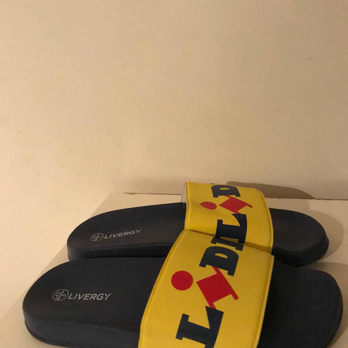 Lidl slides 