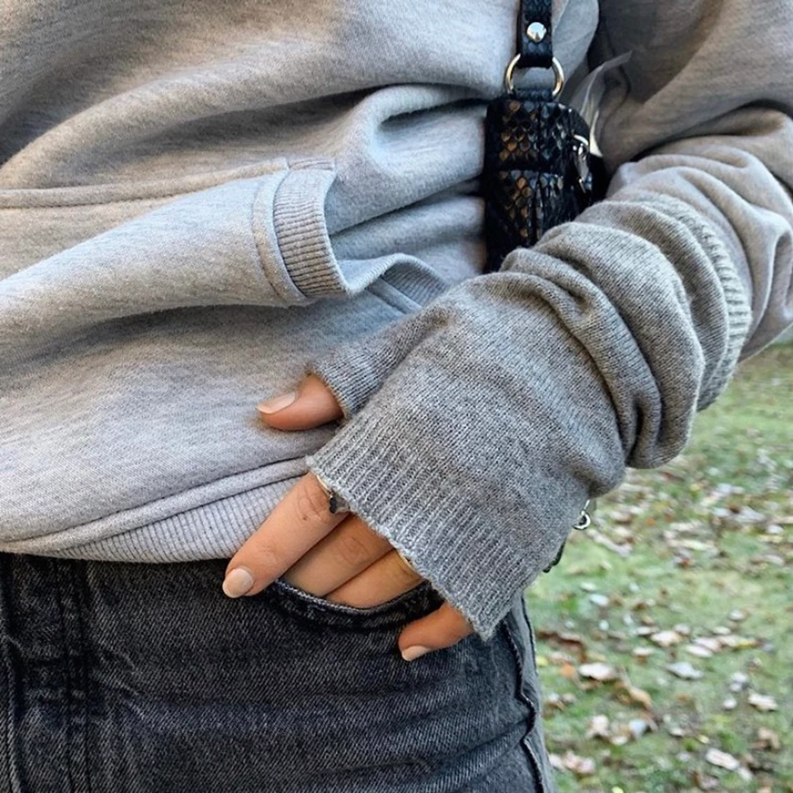 Torgvantar i kashmir