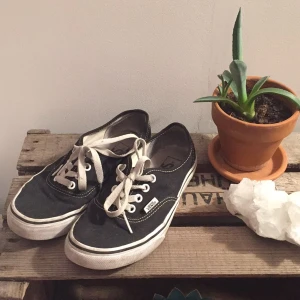  - Vans använda en sommar, lite slitna där bak annars bra skick.