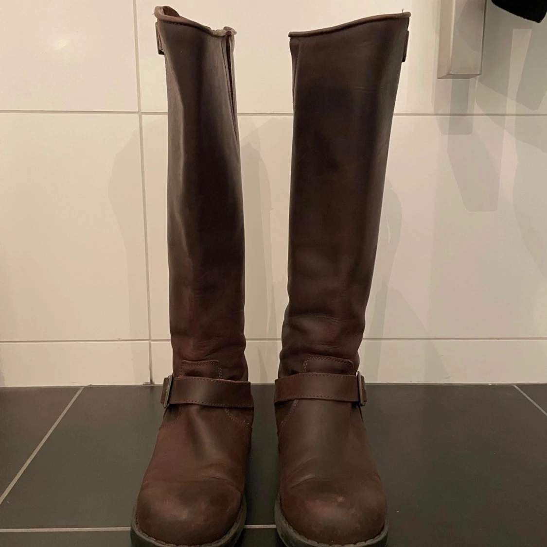 Bruna höga Johnny bulls