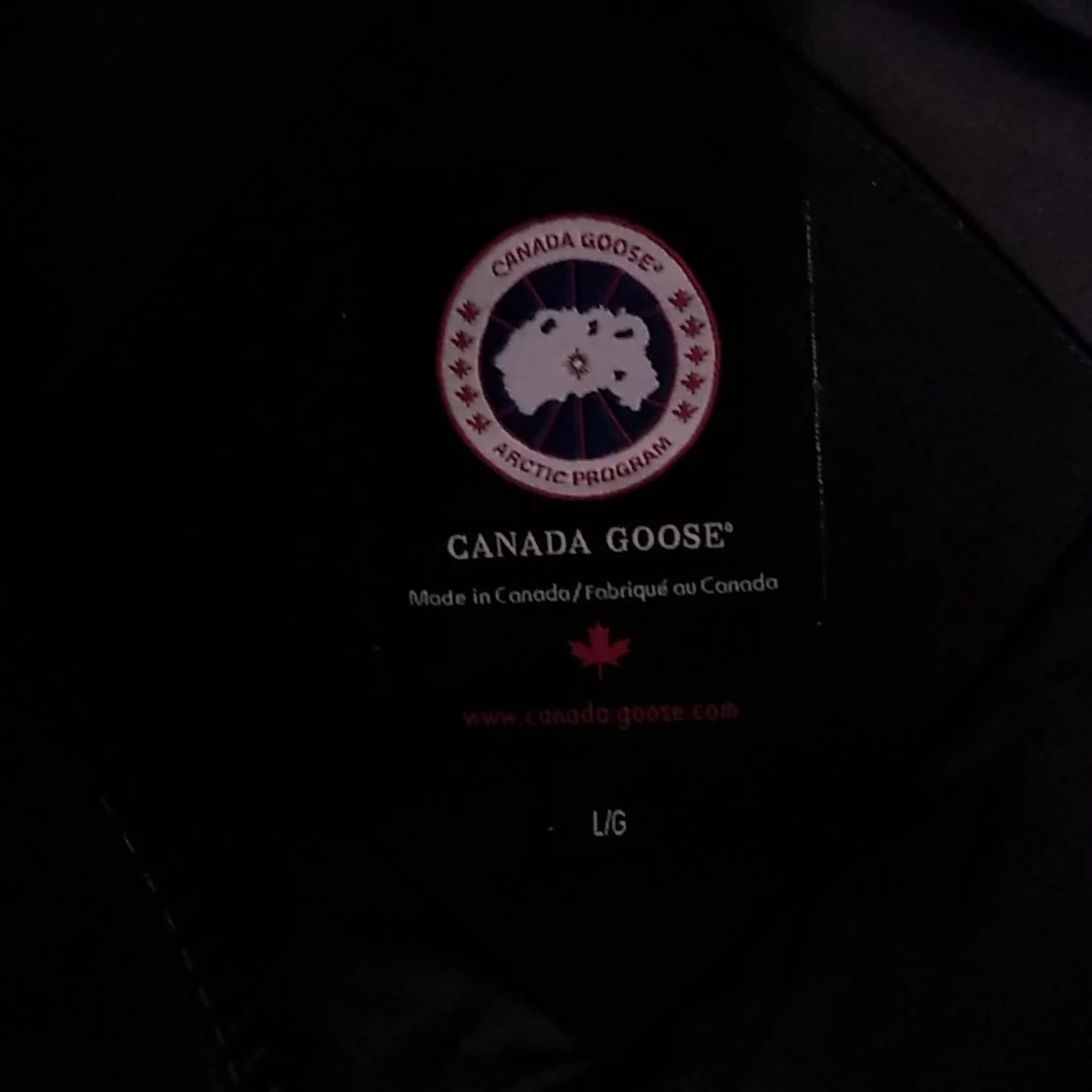 Canada gosse - 91