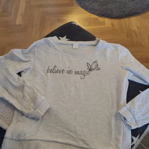 Tröja - Mkt Ljusgrå-melerad. Hål och fläckfri, djur och rökfritt hem  FRAKTKOSTNAD TILLKOMMER