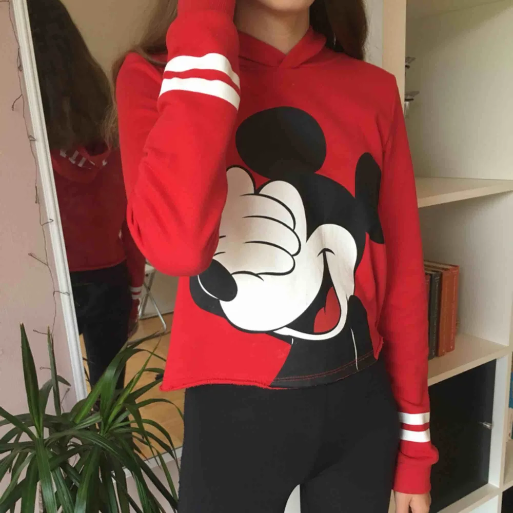 Mickey mouse croppad hoodie, från HM. Nypris 200kr. Bra skick!❤️. Hoodies.