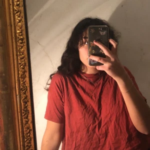 Rostfärgad kort t-shirt!  - använd sparsamt, så i fint skick! 