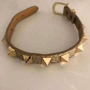 Intressekoll - BUDET LIGGER PÅ: 210kr  ! Älskar det men kommer tyvärr inte till användning längre🥰 buda i kommentarerna🧚🏼