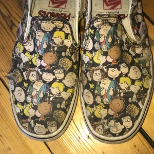 Vans slip on limited edition - Hål i framsidan och slitna men finns mycket kvar att hämta