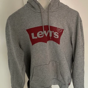 Grå hoodie - Grå hoodie med tryck. Jag är 174 cm lång. 🥰FRAKT INGÅR🥰