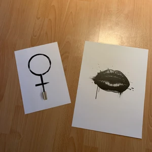 Posters - Posters från desenio💗 De är lite slitna på baksidan men i bra skick på framsidan, ser som nya ut i en ram! Den stora kostar 25 och den lilla 15. Frakt runt 40 kr.