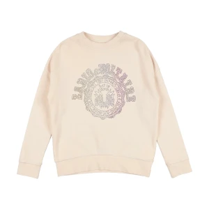 Zadig Voltaire tröja  - Zadig Voltaire tröja i nyskick, alla diamanter är kvar. Storlek XS/S. 