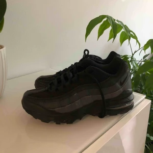  - Air Max 95 svarta med gråa detaljer på sidan. storlek 35,5-36. Köpte dom för 995:- . Använda typ 2 gånger. Köparen står för frakt. Pris kan diskuteras.