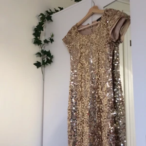 - Hur fin & glittrig är inte den här klänningen?? Säljer då jag inte tycker att den passar mig längre. Så gott som ny! priset är exklusive frakt. Om det är något ni undrar över ställ en fråga eller kolla gärna min profil🍃