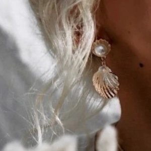 Örhängen - Hej, jag säljer ett par örhängen från eollie. Så himla fina! Säljer för 100kr ink spårbar frakt.