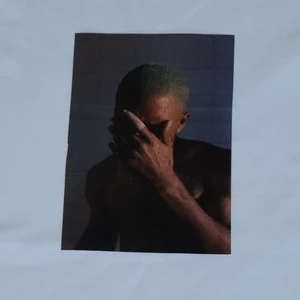 Frank ocean t-shirt - Svarta och vita t-shirts med Frank Ocean tryck på. Aldrig använda finns i st S, XS och M i både svart och vit. Frakt tillkommer på 63 kr (postnord spårbart). 