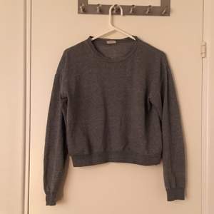 Söt grå tröja från Brandy Melville i storlek S. Frakt tillkommer om du inte vill mötas upp i Stockholm! :) 