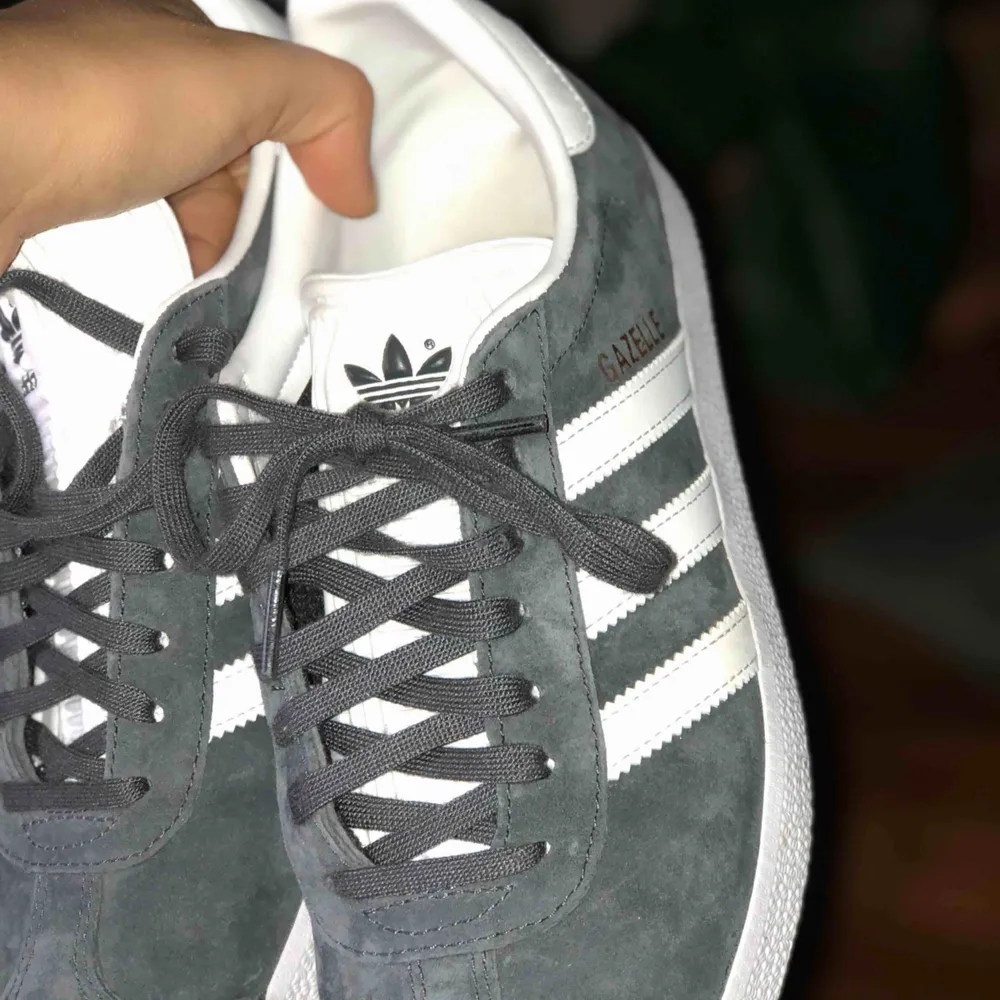 Mörkgrå adidas gazelle i storlek 38. Helt nya - endast provade, säljer på grund av fel storlek och råkade slänga kvittot, frakten ingår! ❗️NYPRIS 1000 kr❗️. Skor.