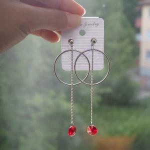  - örhängen  frakt 10 kr