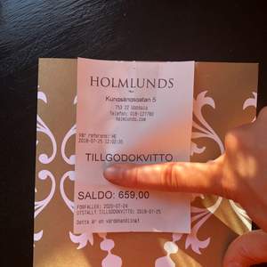 Säljer ett tillgodo kvitto med 659 kr, på butiken Holmlunds p.ga ångrat köp som jag ej kommer få bruk för🌸   Kan mötas upp i Uppsala :)