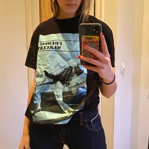 Freddie Mercury t-shirt - Snygg oversized t-shirt från zara! Snyggt tryck. Sparsamt använt 💫✨💙 Köparen står för frakt!!!