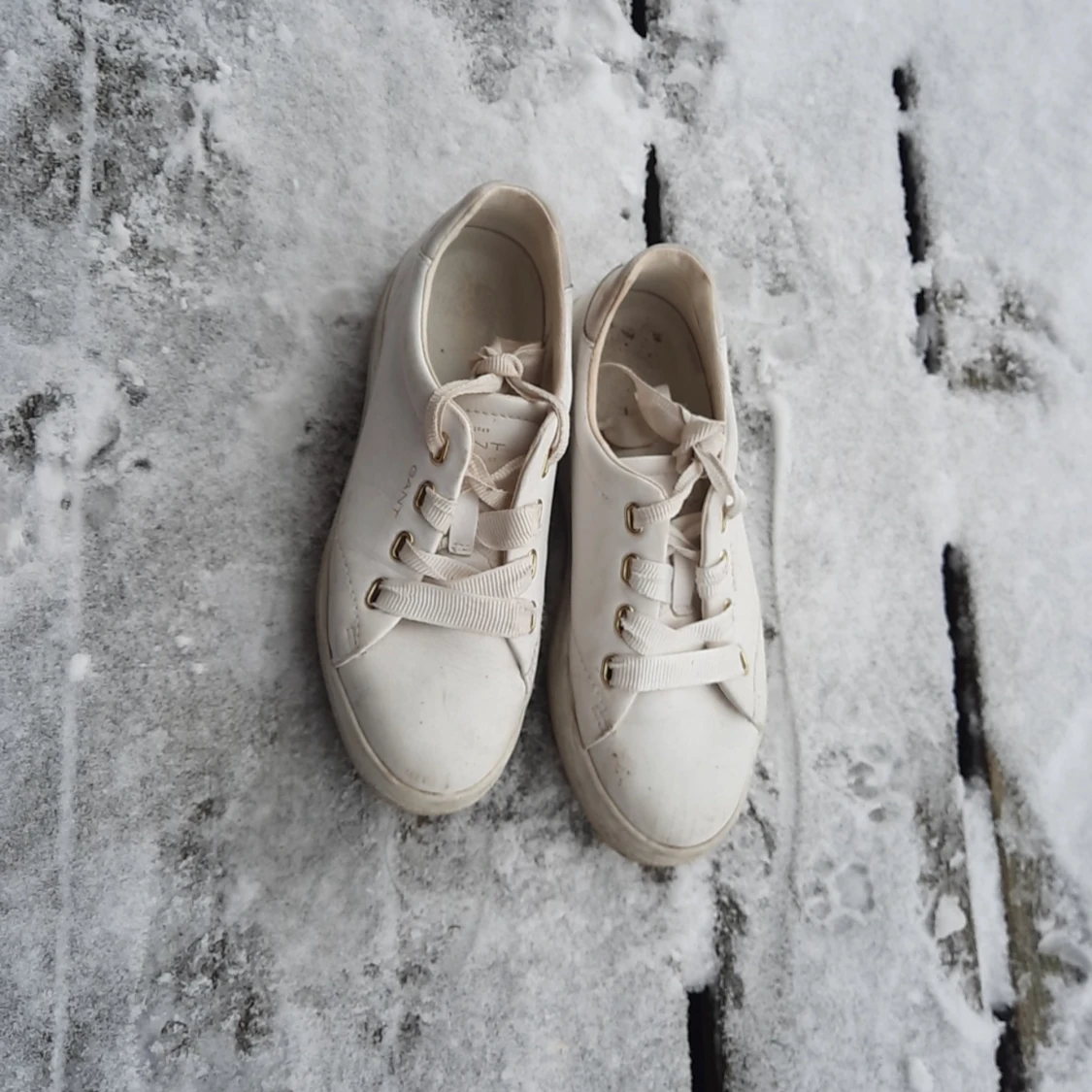 Gant New Haven CT sneakers