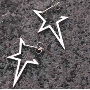  - Frakten ingår, helt oanvända snygga örhängen  Finns även i guld 