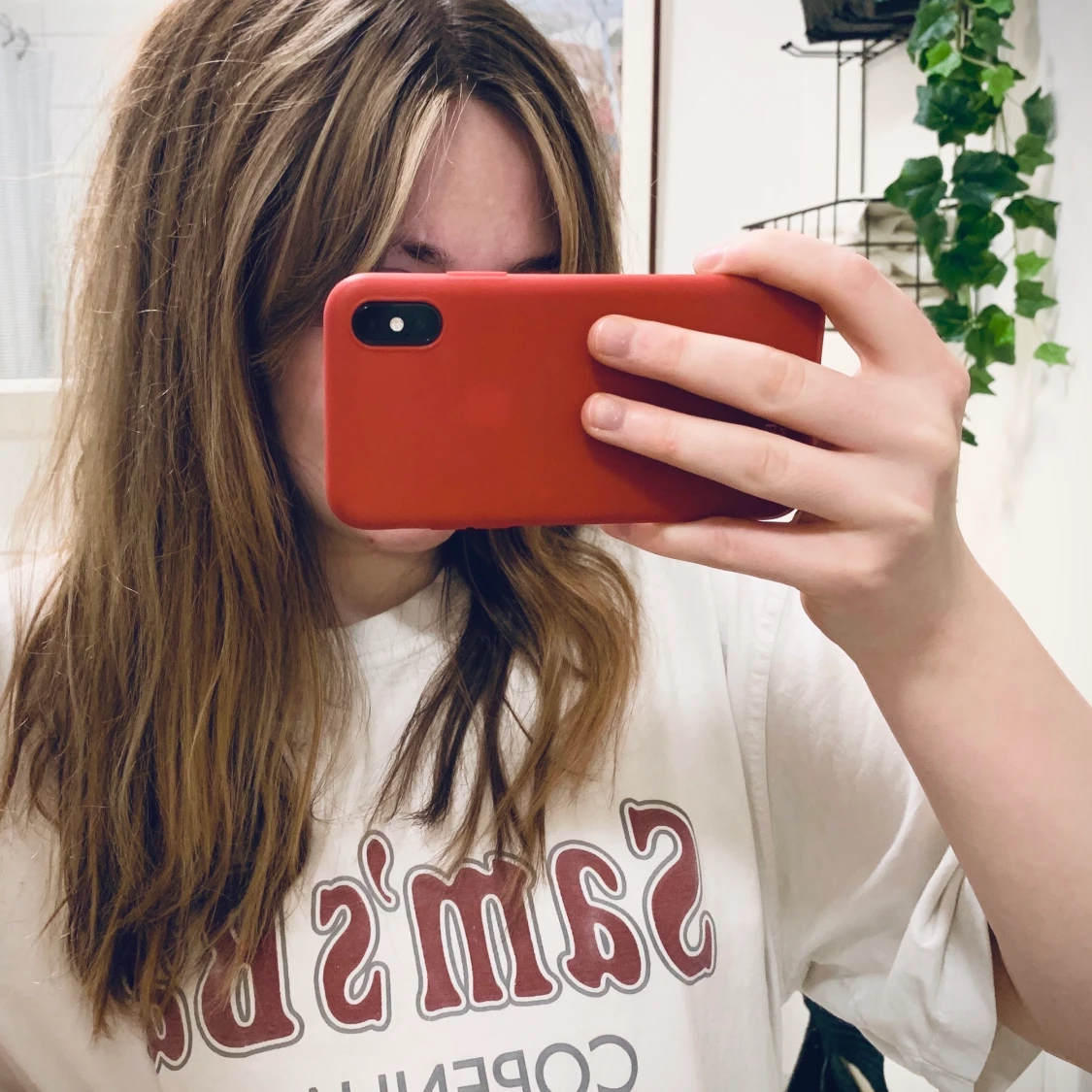 Skal till Iphone X/XS