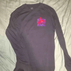  - En långärmad T-shirt med tryck. Kostade 199kr när den köptes och har sällan använts.