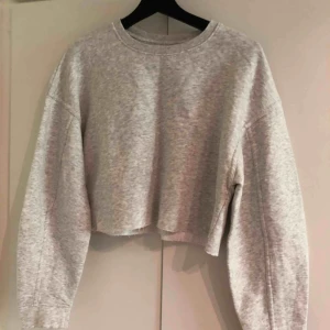  - Storlek s men passar även M. En ljusgrå croppad lång ärmad tröja