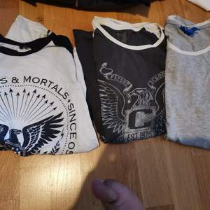 Säljer tre fina T-shirts i storlek S 
