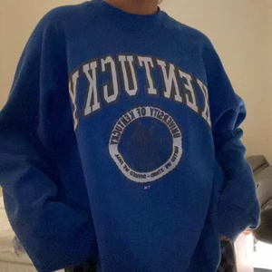 Oversized Vintage Sweatshirt  - Köpt på beyond retro men när jag kom hem upptäckte jag en liten fläck vid halsen (bild 3) som jag försökt få bort men misslyckats med. Fläcken syns knappt och tröjan är sååå skön då den inte är för tjock. Superfin passform och passar till mycket! 🦋 💖HÖGSTA BUD 365kr inklusive frakt 💖BUDGIVNING AVSLUTAS 26/1💖