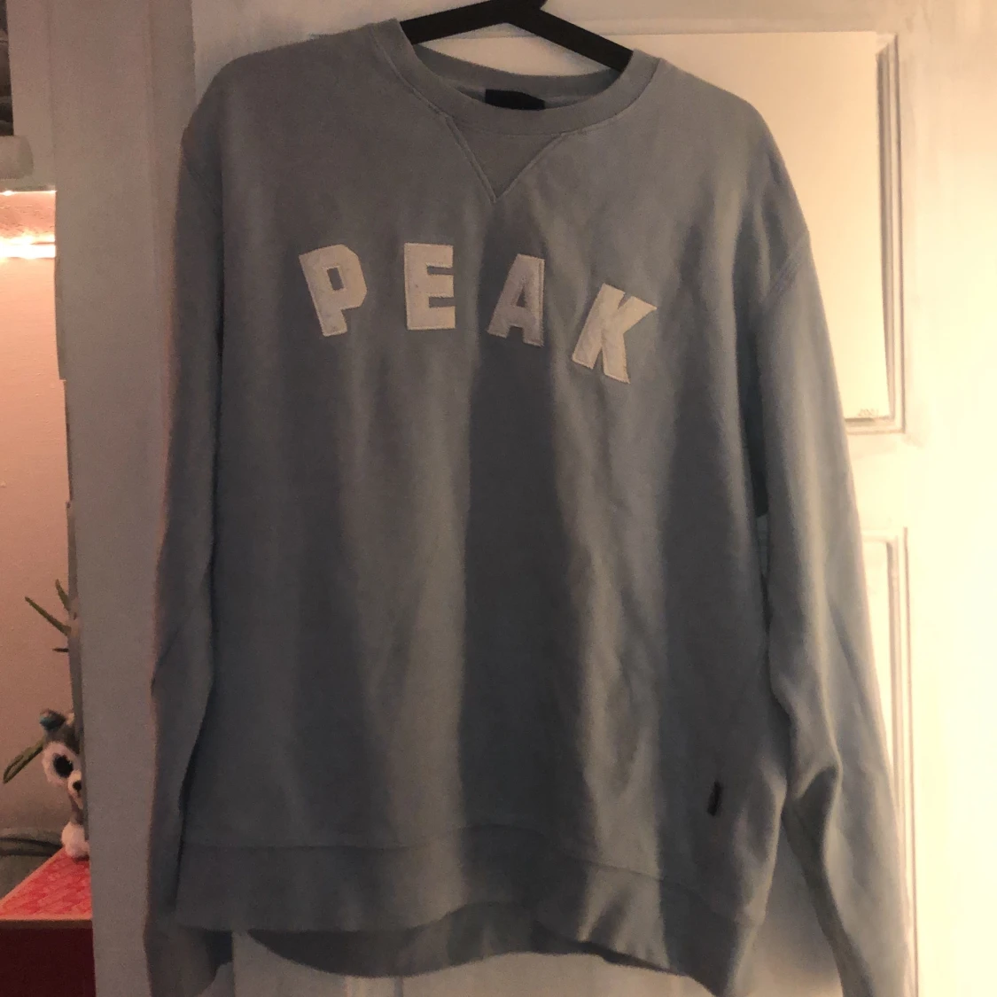 Ljusblå peak performance sweatshirt