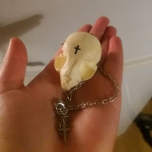  - Halsband med katt-skalle (ej äkta). Har små svarta fläckar på undersidan, tror dom hamla där under tillverkning. 150kr. Frakt: 36kr.